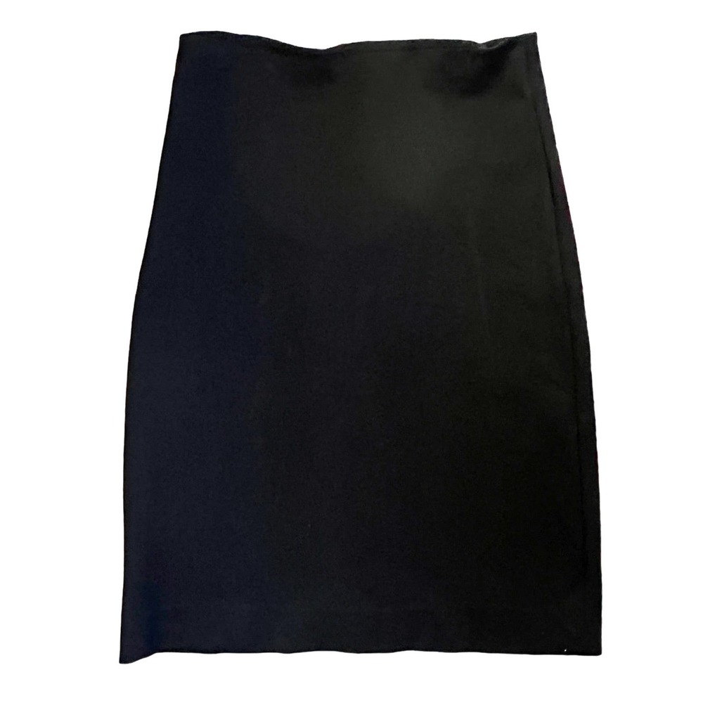 Everlane Women's Skirt Stretchy Pencil Skirt Small